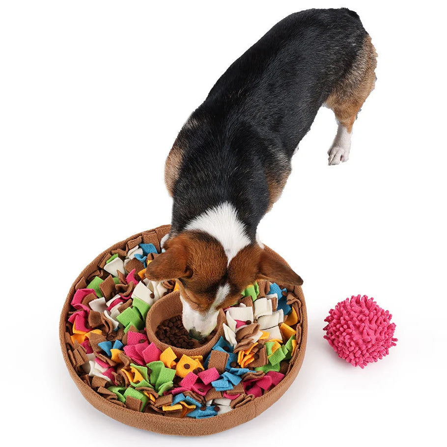 Dog Snuffle Mat Slow Feeder Nose Work Training Mat